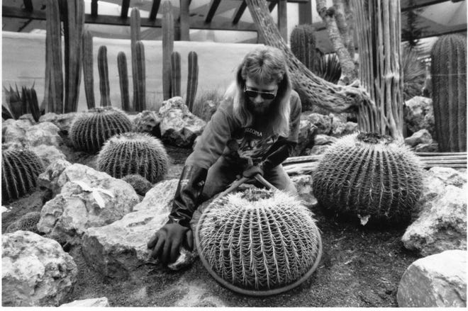 The Cactus Man works on his exhibit at the 1992 Philadelphia Flower Show.