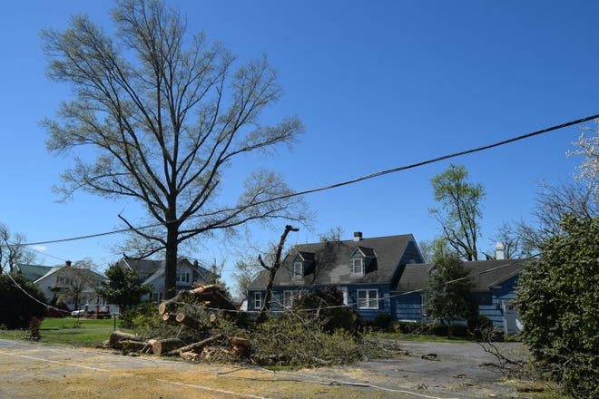 The Phillips family home on Seaford Road in Laurel suffered some damage from downed trees after the storm.